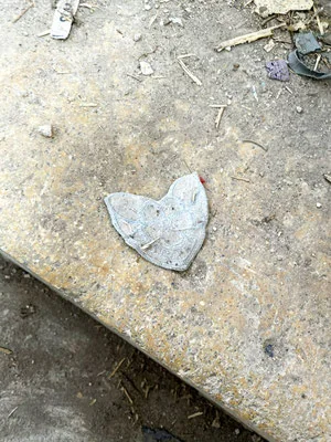A heart shape found among everyday traces